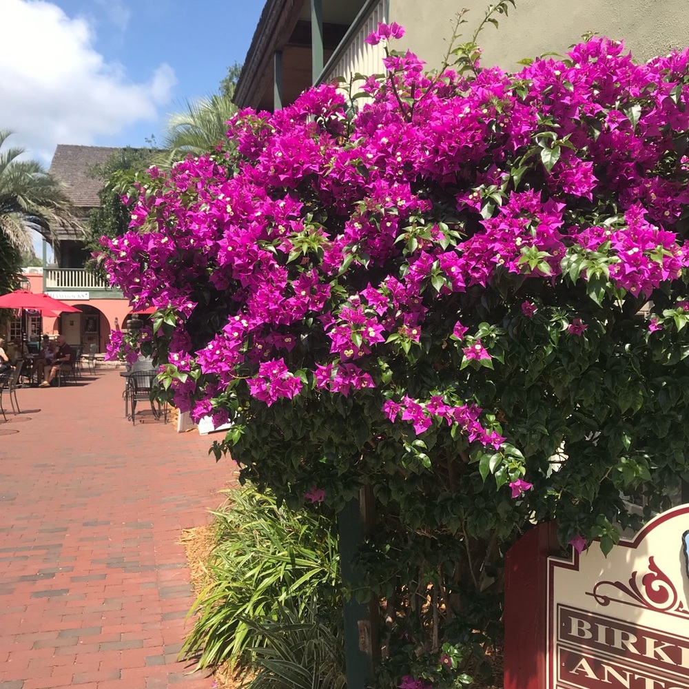 Meet your Posher, Carri